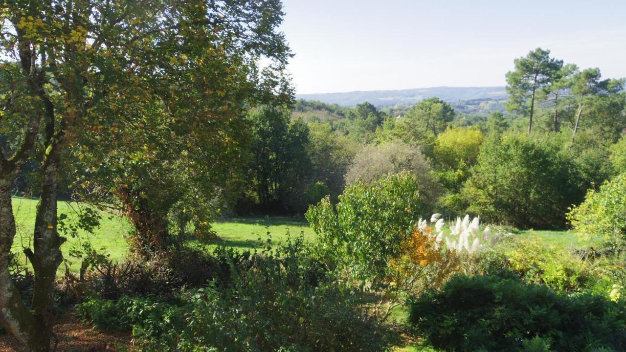 Chambre Lascaux Aux Meulieres A Domme Bed & Breakfast Exterior photo