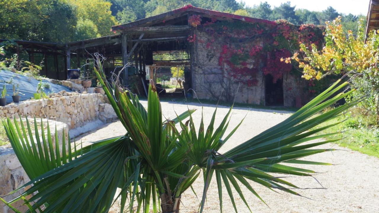 Chambre Lascaux Aux Meulieres A Domme Bed & Breakfast Exterior photo