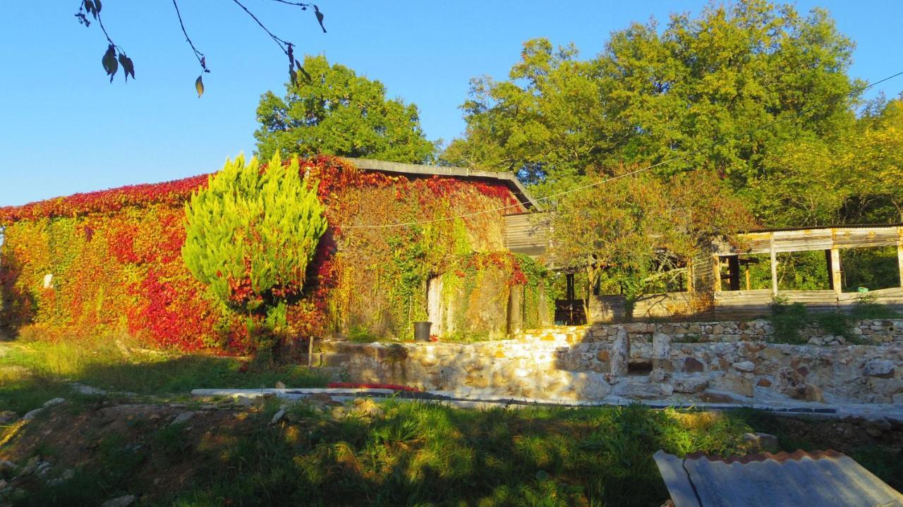 Chambre Lascaux Aux Meulieres A Domme Bed & Breakfast Exterior photo