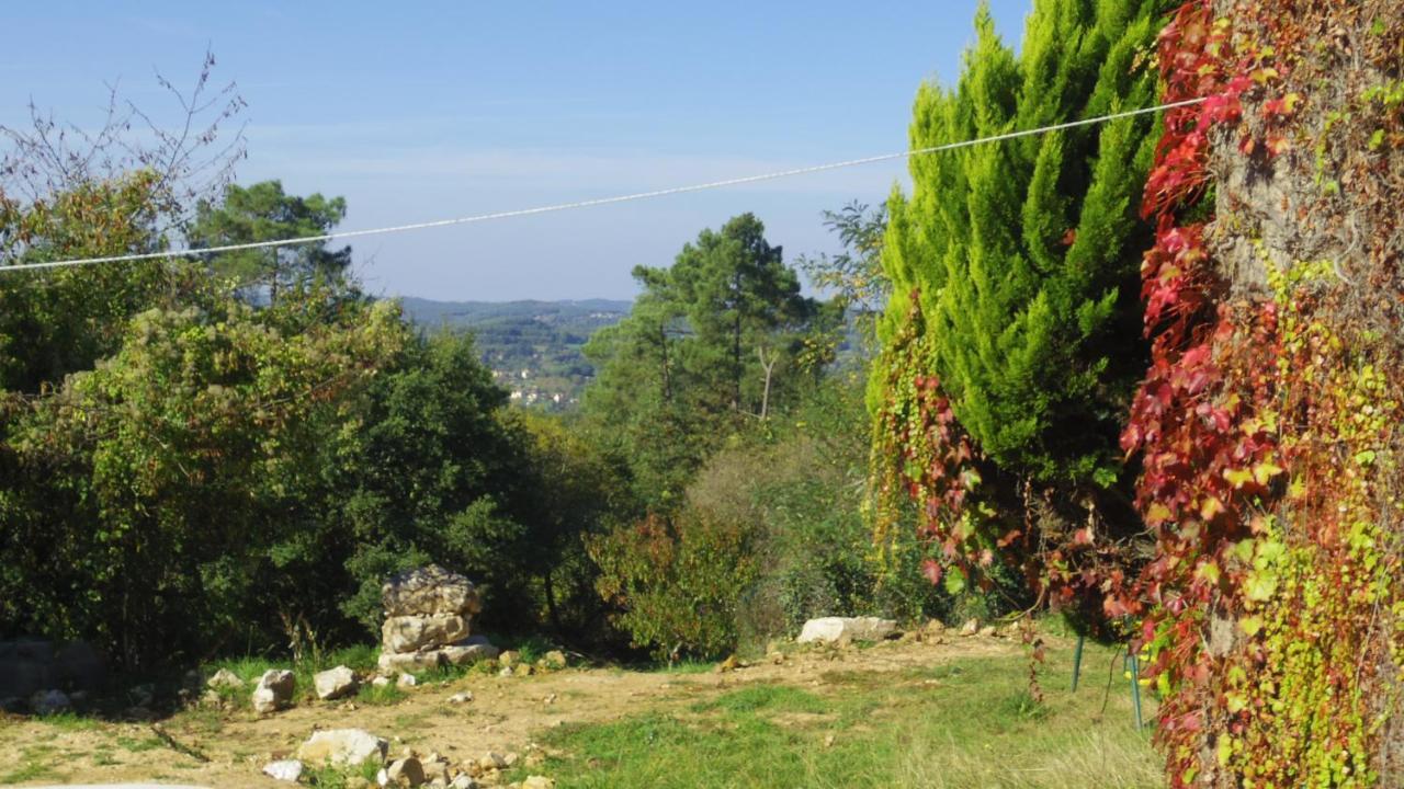 Chambre Lascaux Aux Meulieres A Domme Bed & Breakfast Exterior photo