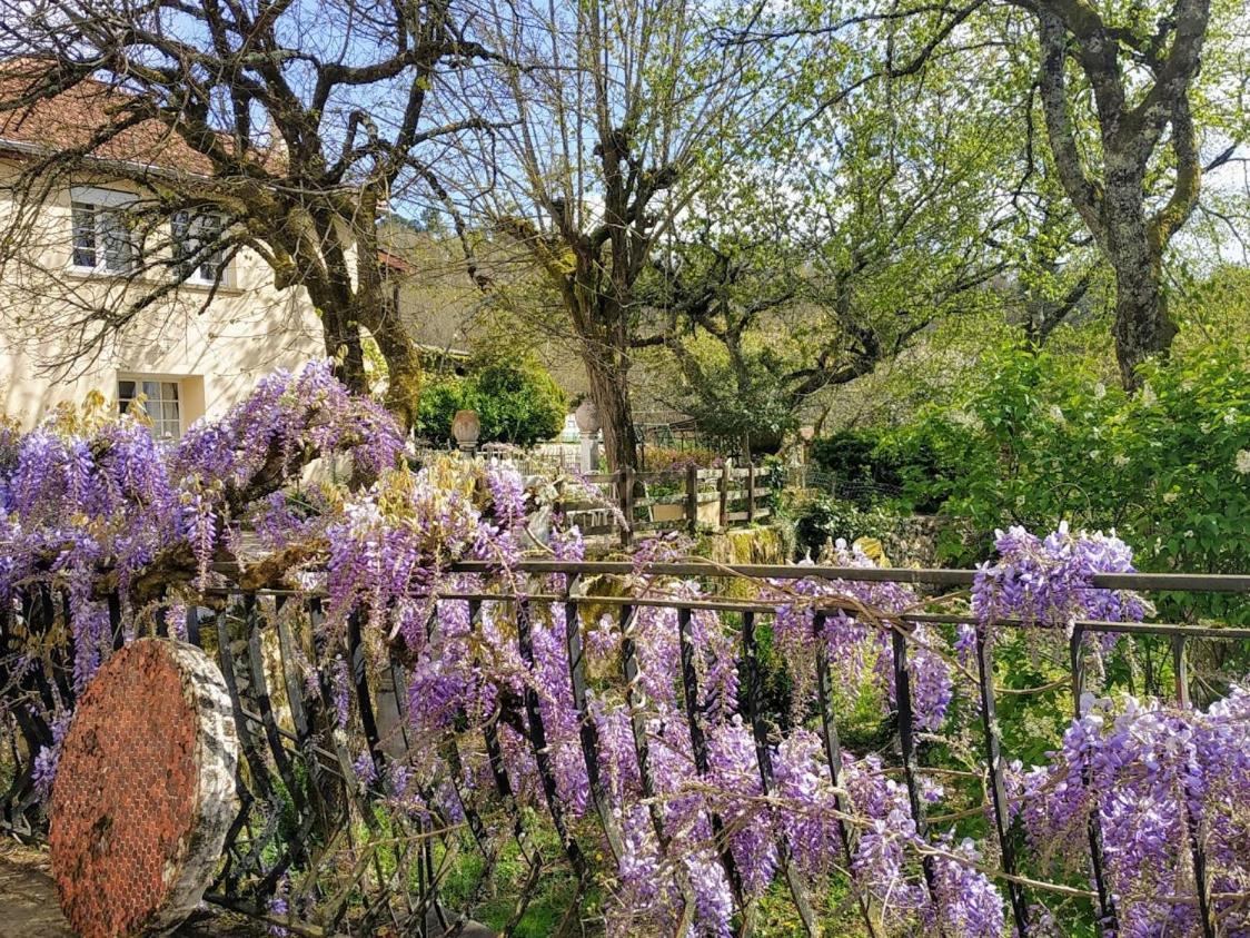 Chambre Lascaux Aux Meulieres A Domme Bed & Breakfast Exterior photo